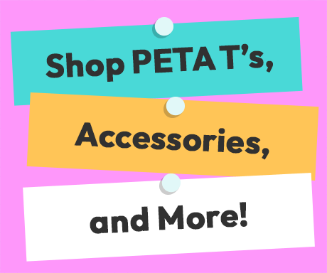 Shop PETA T's, Accessories, and More!