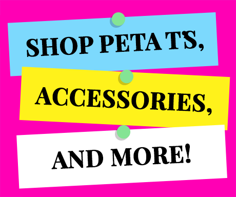 Shop PETA T's, Accessories, and More!