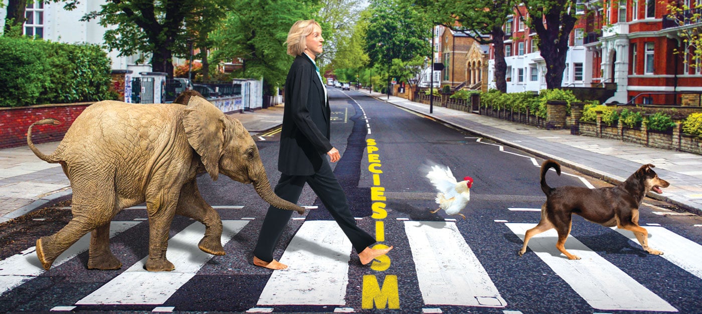 Ingrid and Animals Walking on Abbey Road