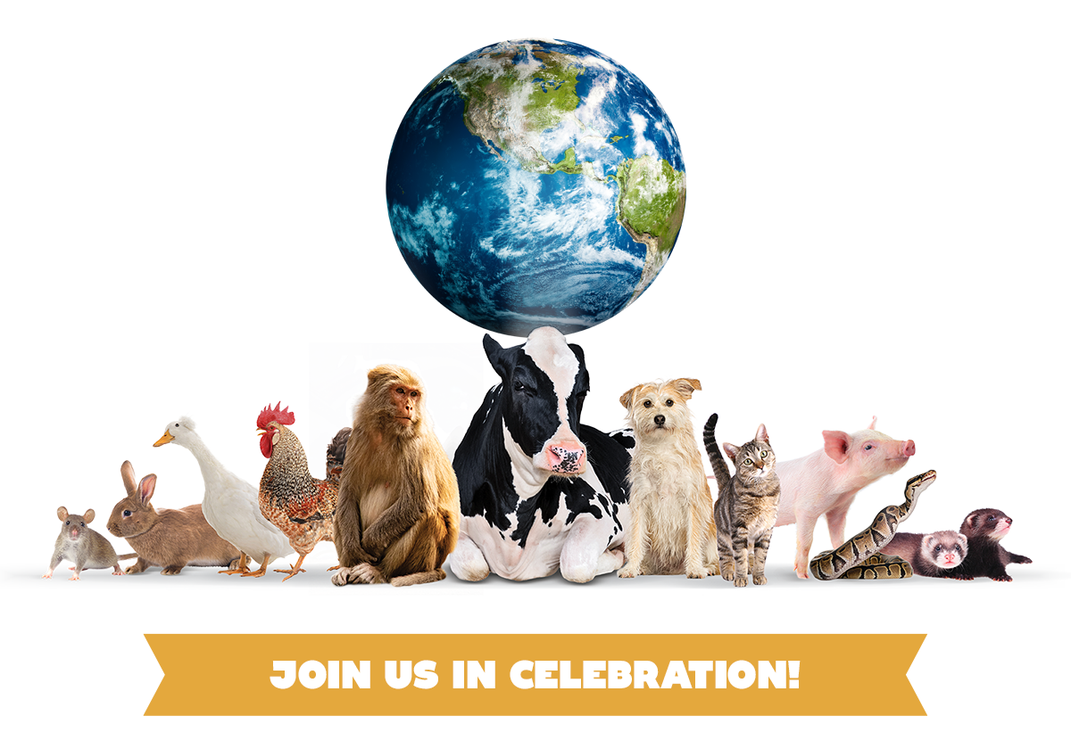 Join Us in Celebration!