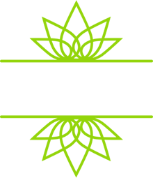 Gruvi